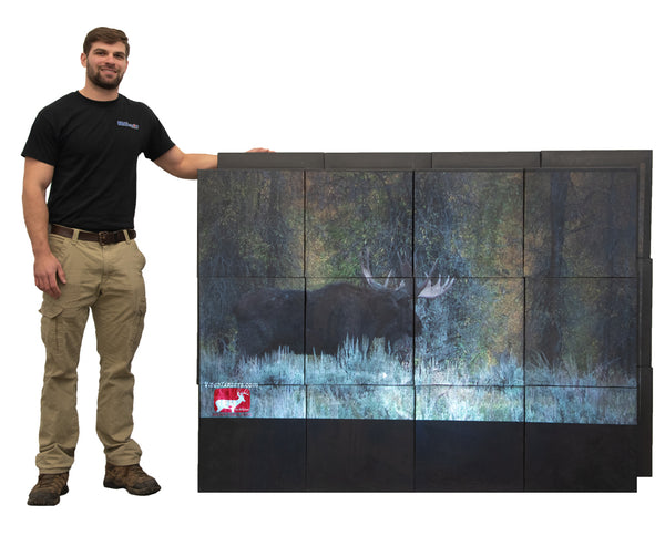 Personal Archery Video Wall